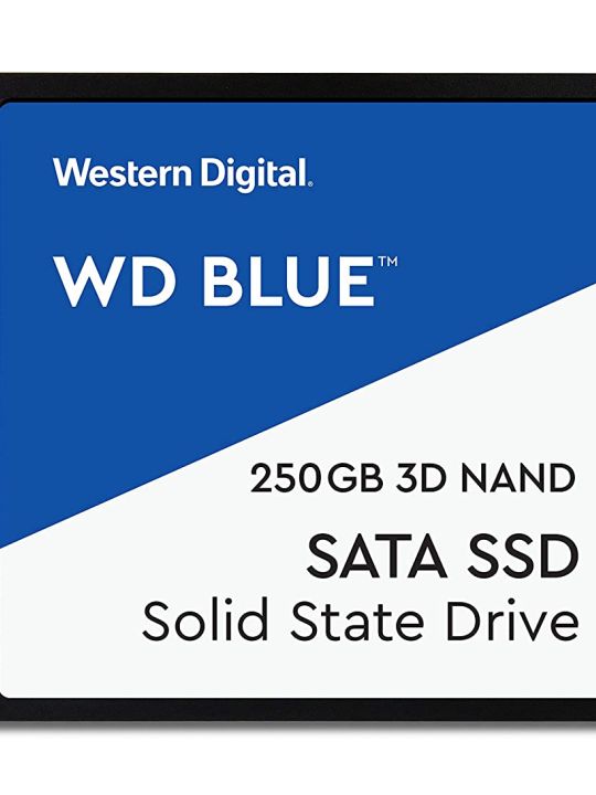 Western Digital WD Blue 6.35 cm (2.5 Inch) SATA SSD, 550MB/s R, 525MB/s W, 5 Y Warranty, 250GB